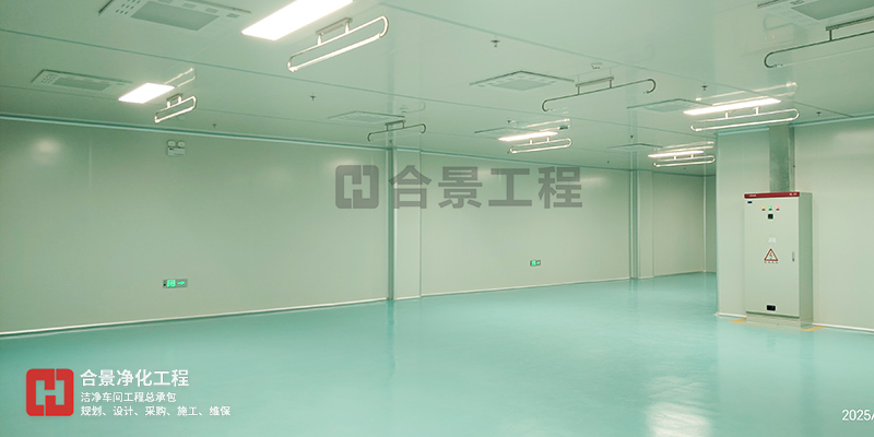 食品廠凈化車(chē)間設(shè)計(jì)的關(guān)鍵原則與布局要點(diǎn)指南